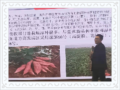 王滨街道组织第一书记牵头开展农民职业培训