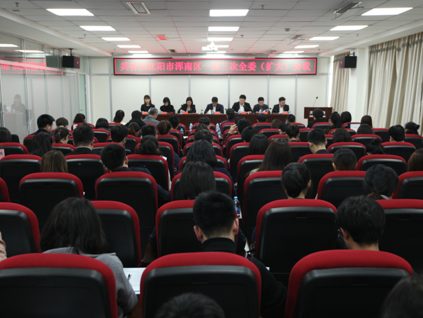 共青团沈阳市浑南区一届三次全委(扩大)会议召开