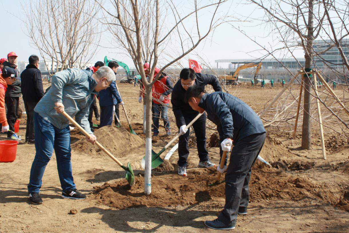 绿色传递,为爱播种——白塔街道开展“绿色传递为爱播种”植树活动