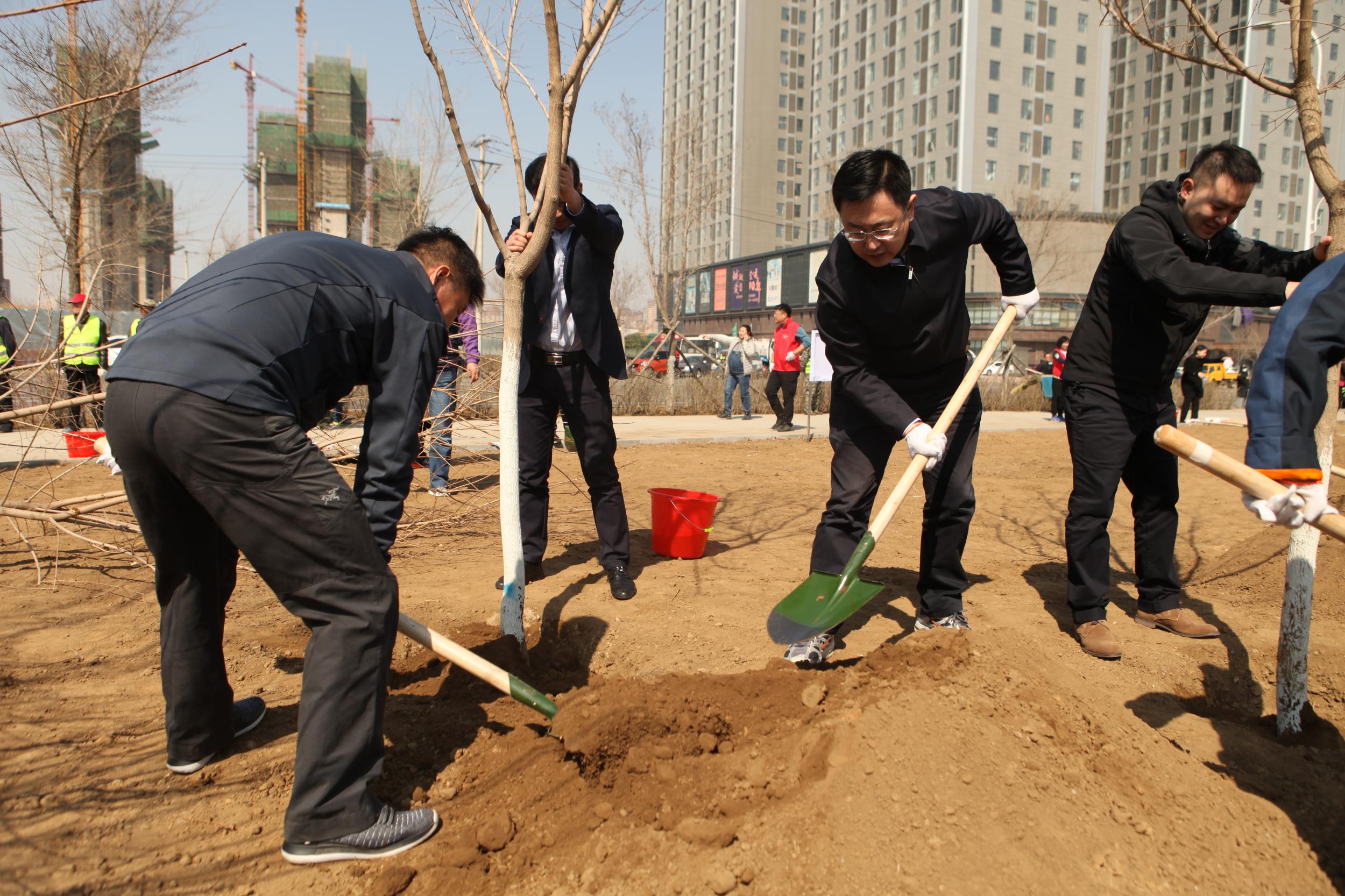 浑南区干部群众参加义务植树活动