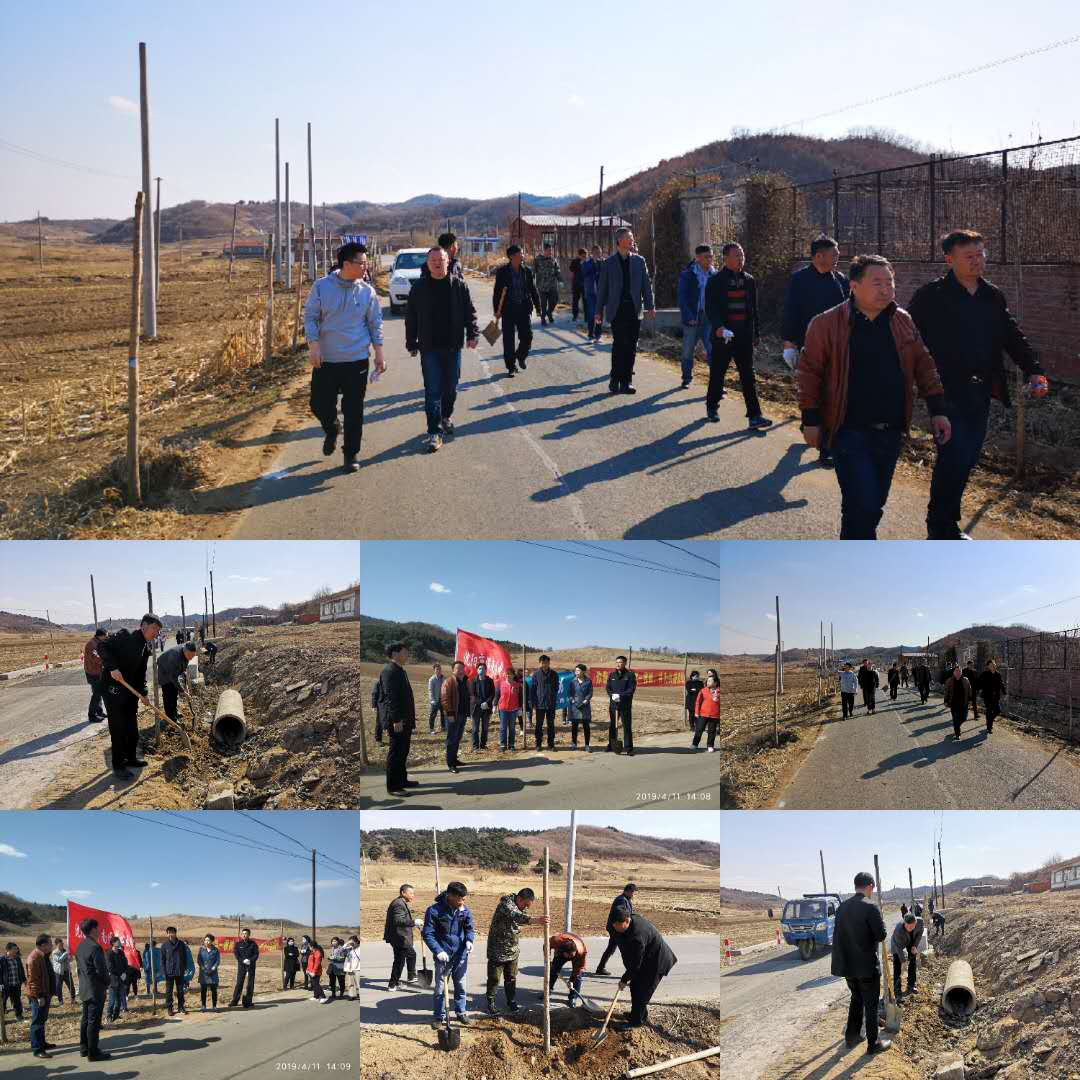 众人植树树成林 人人筑梦梦成真