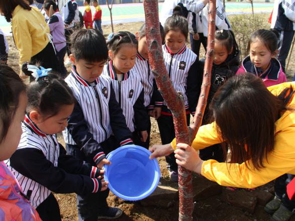 浑南区朝鲜族学校开展“我与小树共成长·百校万树”活动