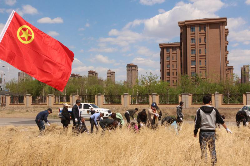 浑河站东街道团工委组织开展义务除草活动，助力清洁农村建设