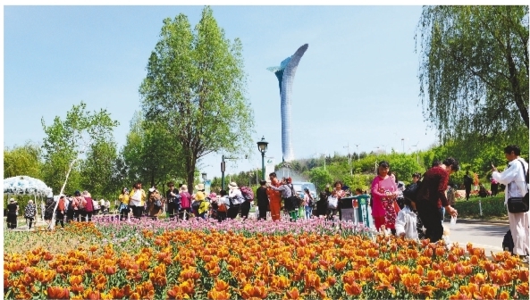 沈阳世博园 花海醉游人