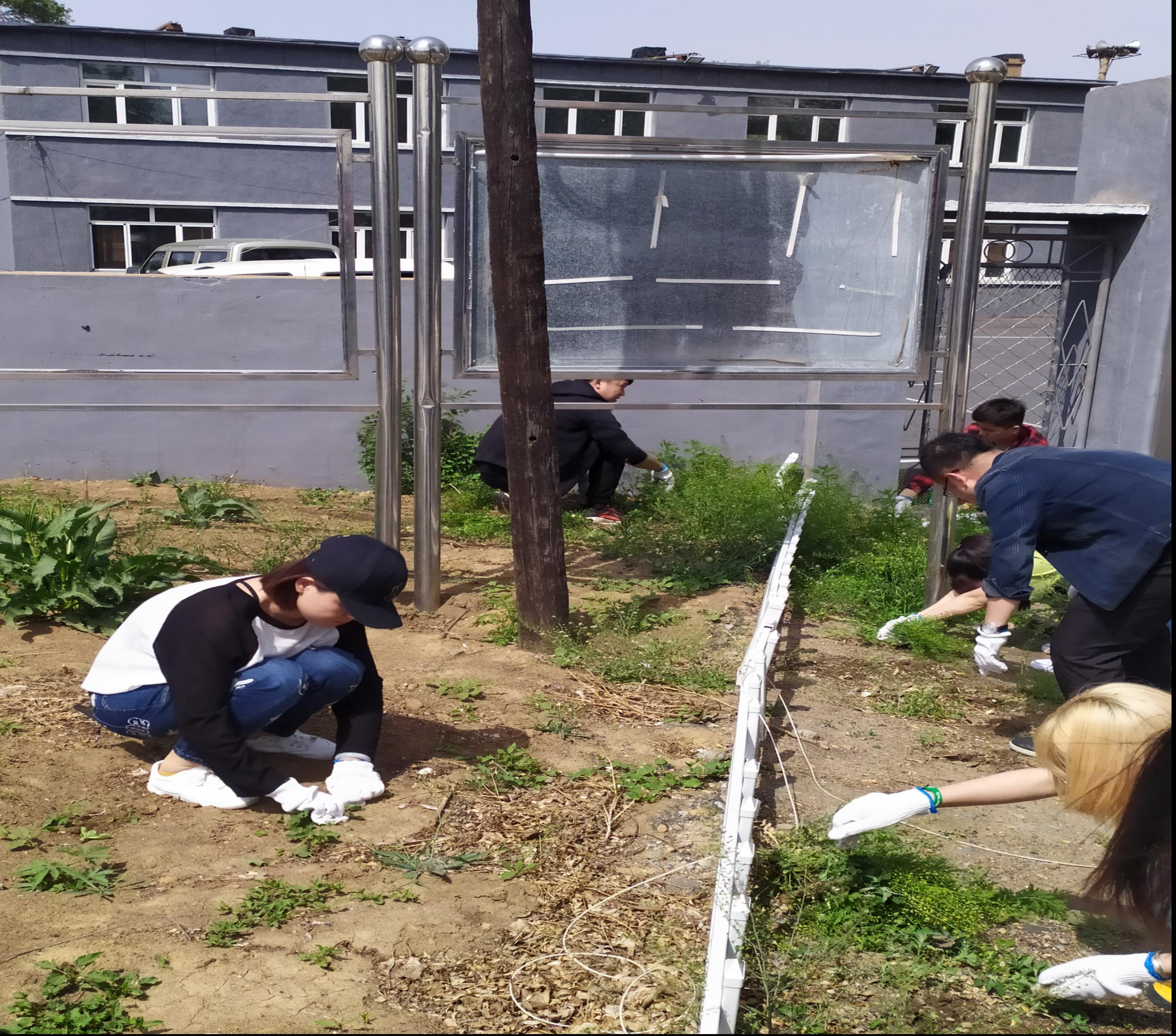 白塔街道团工委开展“清洁农村人居环境”行动