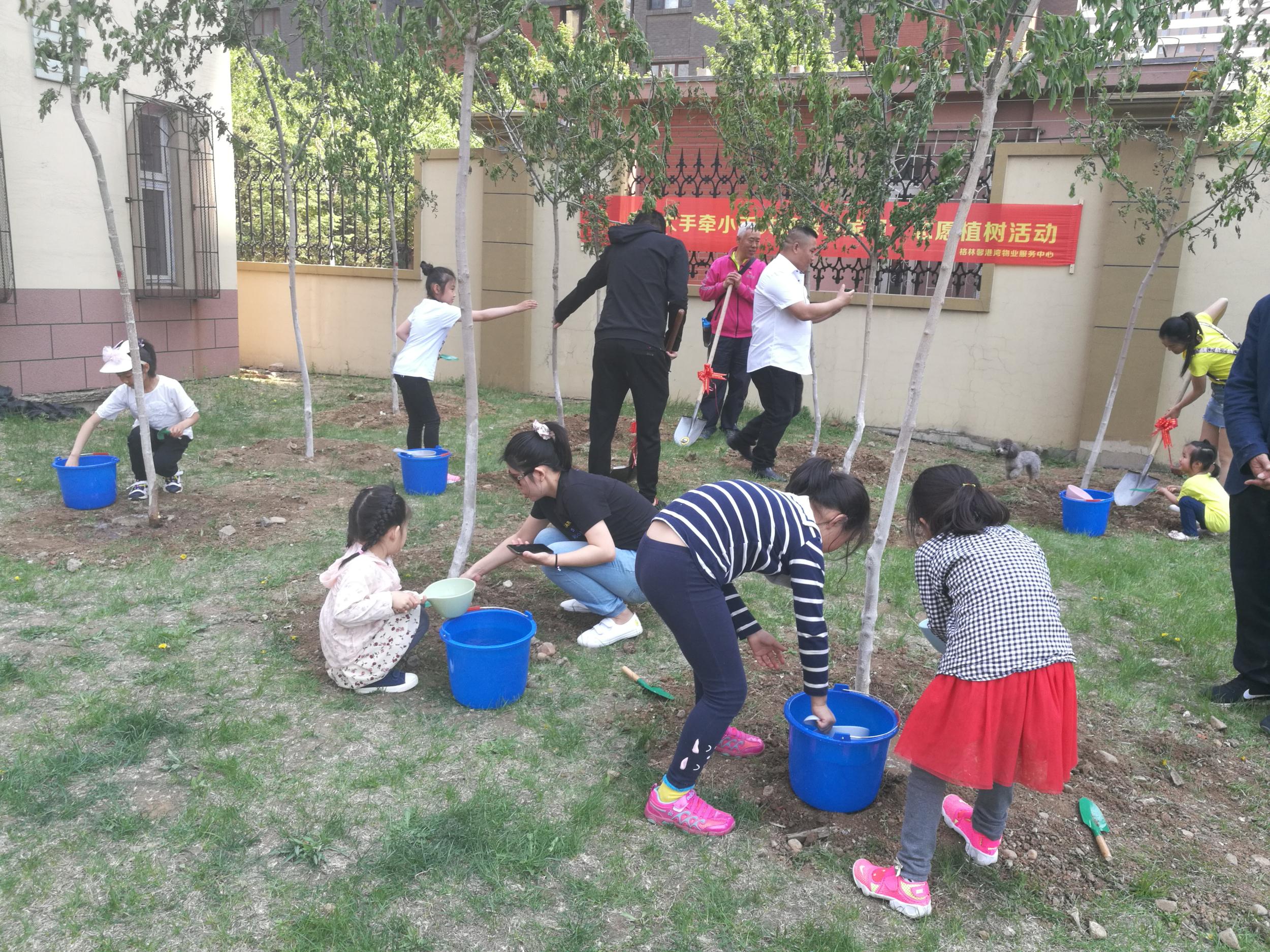 五三街道慧缘社区团支部开展“小手牵大手共建绿色家园”植树活动