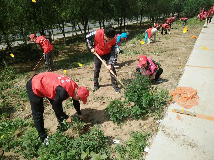 播种希望向阳而生白塔街道丽城社区组织种植活动