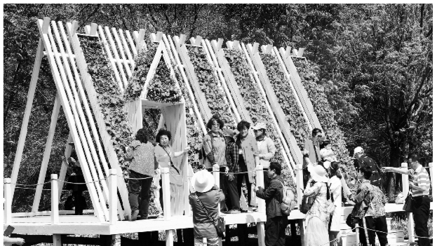 国际花境节 吸引游人眼球