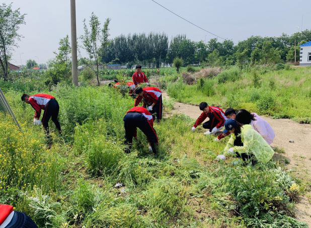 东湖街道团工委开展“清洁农村人居环境青春助力乡村振兴”志愿服务活动