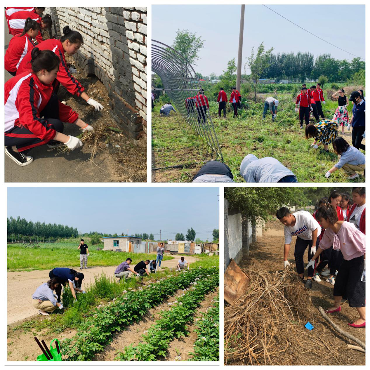 保护环境 我们不做旁观者——紫提东郡社区迎“七·一”环保主题活动