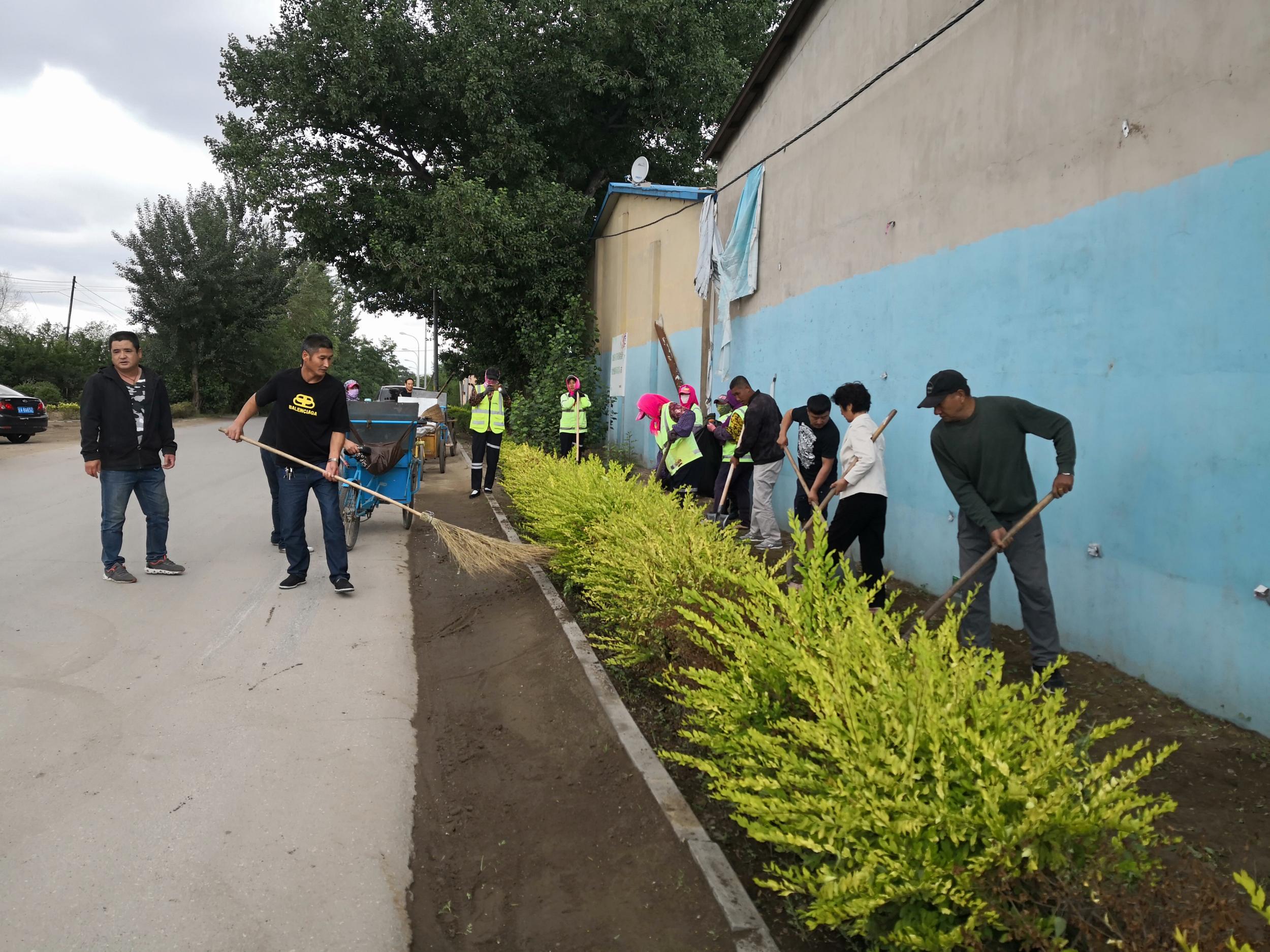 东湖街道党工委开展“清洁村庄助力乡村振兴”党员志愿服务活动