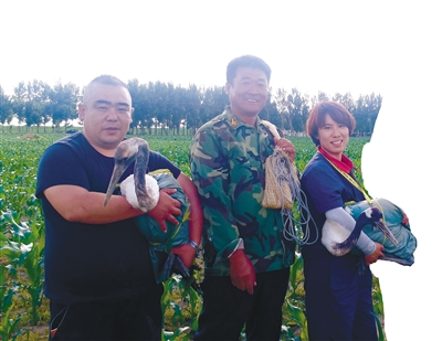 沈阳鸟岛 “寻鹤记”