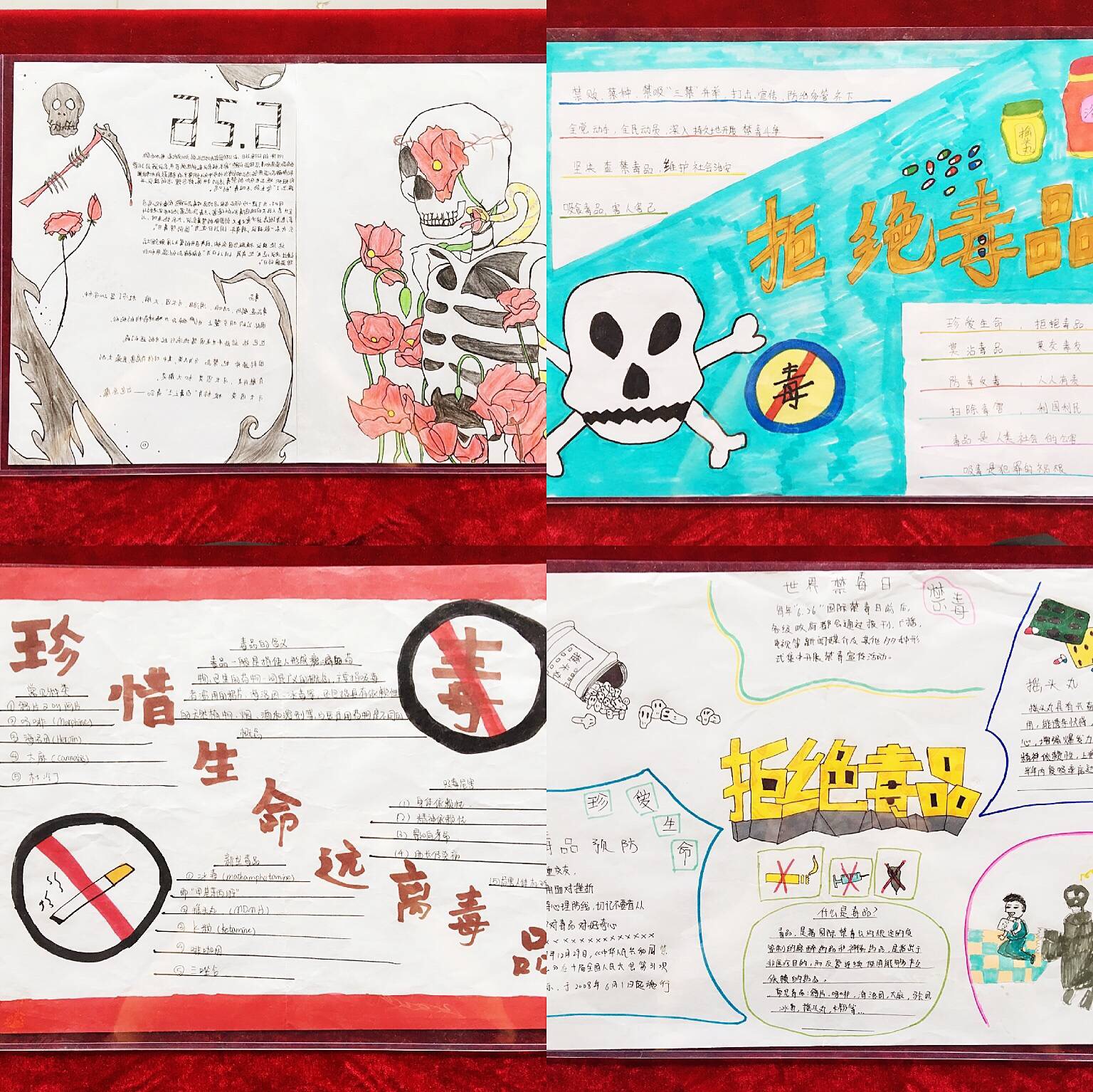 禁毒宣传月，我们在行动——沈阳市浑南区第六初级中学开展禁毒教育活动