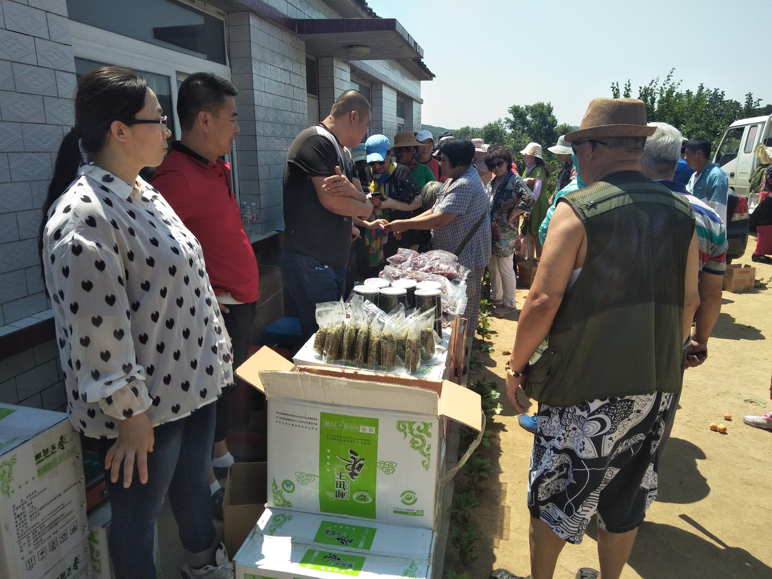 农旅融合特色产业助力王滨乡村振兴