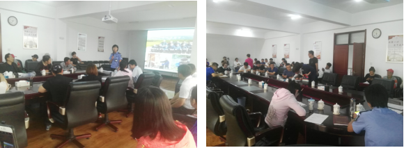 做好垃圾分类，推动绿色发展——白塔街道生活垃圾分类工作纪实