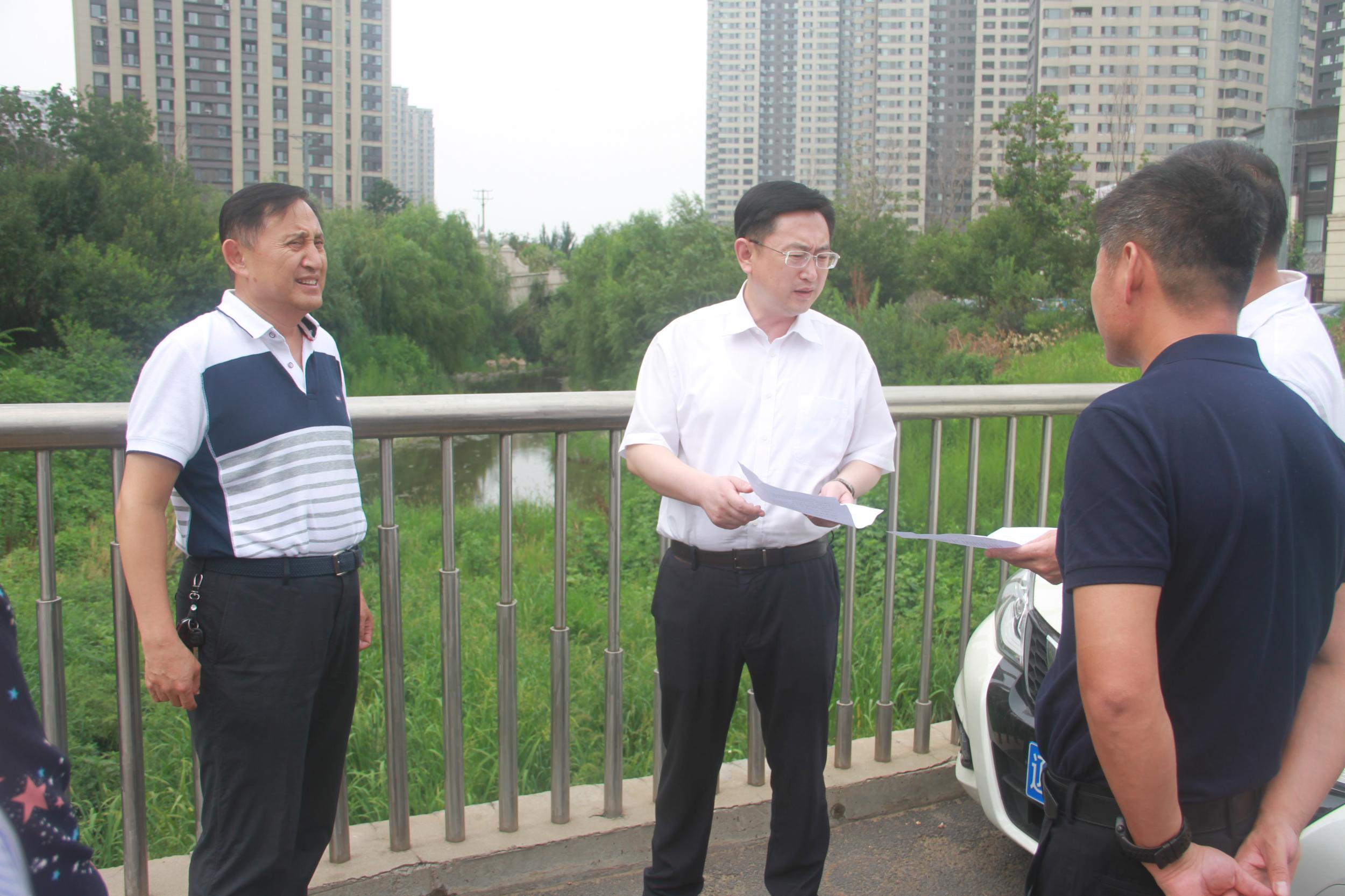 浑南区委书记单义检查环保督察 问题点位整改落实情况