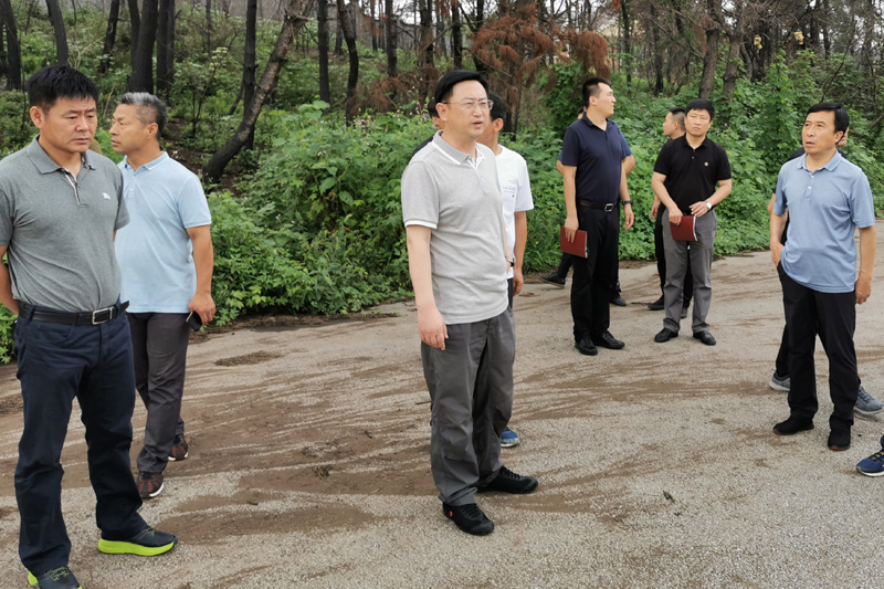 浑南区委书记单义检查违建别墅整治工作开展情况