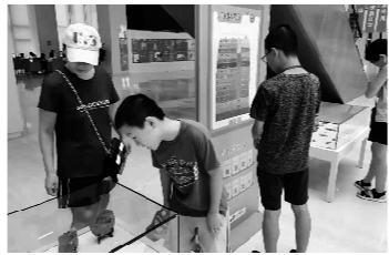 小读者可来辽图赏蝴蝶标本