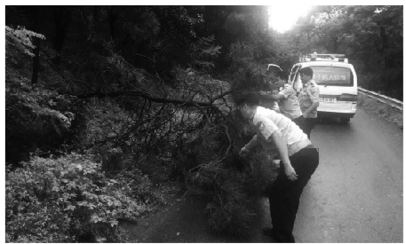 “白+黑”坚守迎战台风雨 他们最美