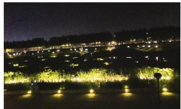 沈阳新增网红打卡地 “荷塘月色”亮相浑南