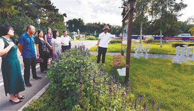 专家学者为世博园提质“把脉”