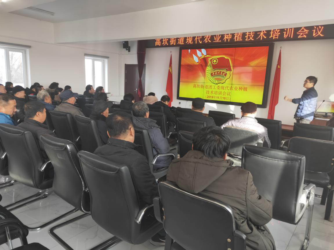 高坎街道团工委开展“清洁农村人居环境 青春助力乡村振兴”暨现代农业种植...