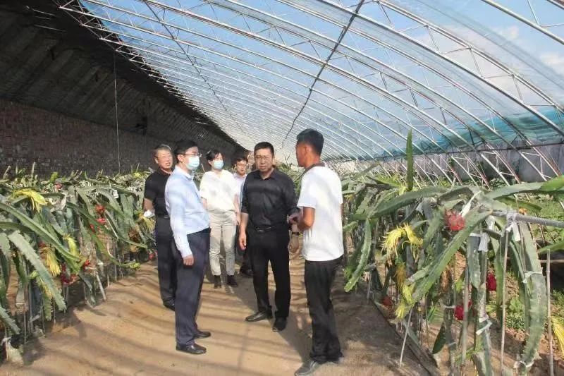 区政协开展加快“一村一品”专业村建设调研活动