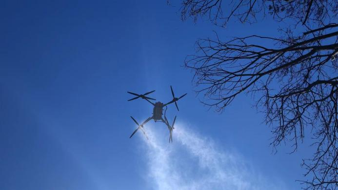 “直升机+无人机”交替作业!我区高效防治林业有害生物