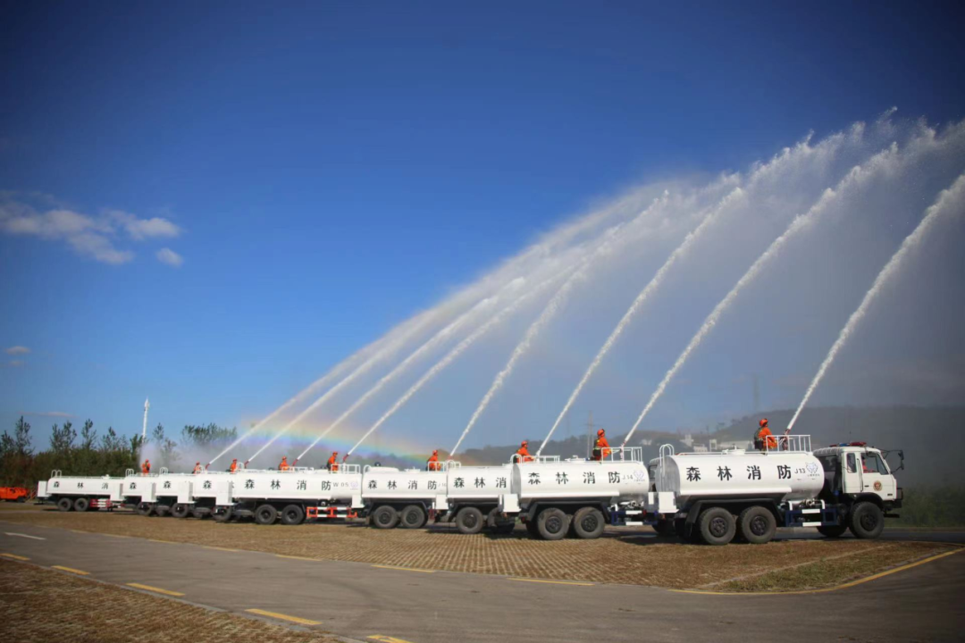 森林防火有法宝！浑南区全面做好森林防火工作