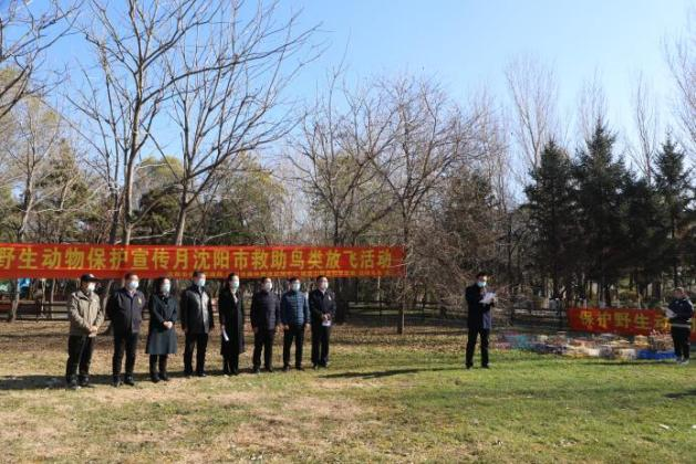 沈阳市2022年救助鸟类放飞宣传活动在我区举行