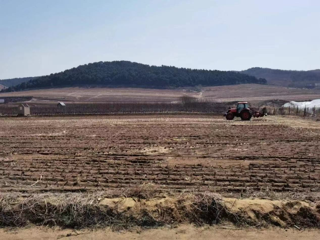 王滨街道全面开展春耕备耕工作