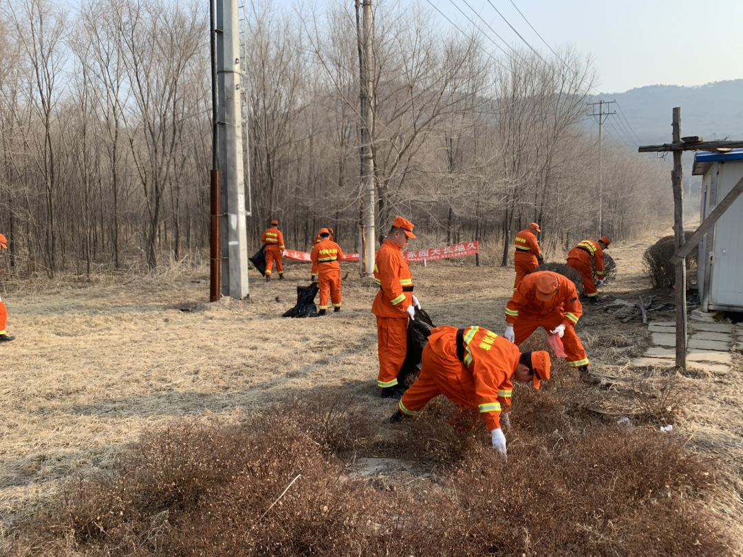 我区广泛开展“学雷锋”志愿服务活动
