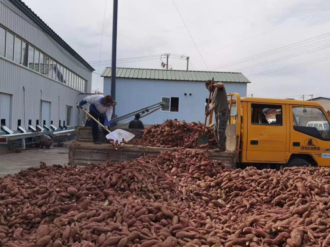 红色领航 跑出王滨农村经济发展“加速度”