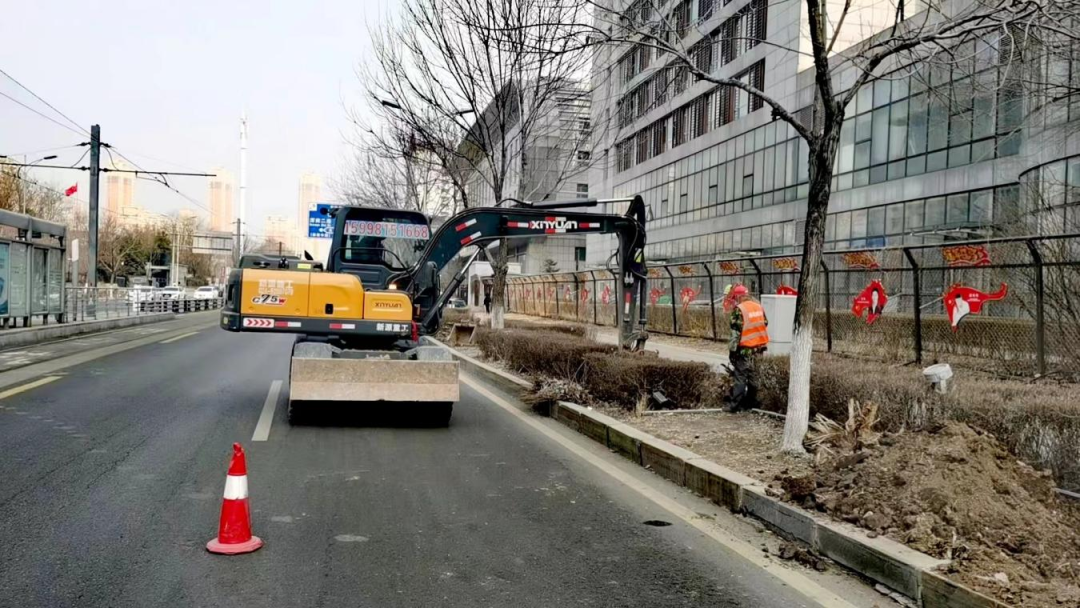 区城管局开展春季补植专项行动 绿化美化提升城市“颜值”