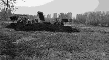 浑南再建一座公园 预计10月份竣工