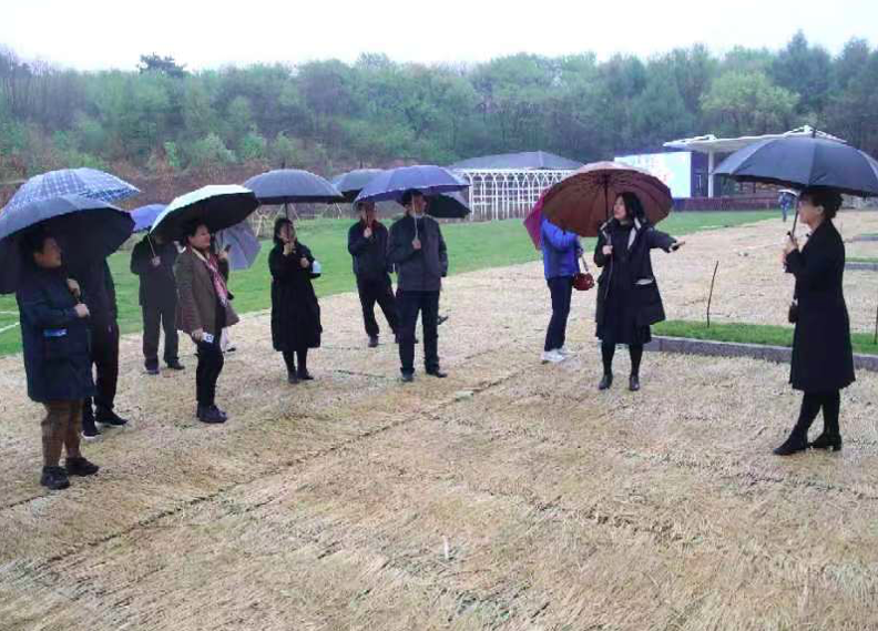 区政协：争当履职先锋 助力乡村振兴