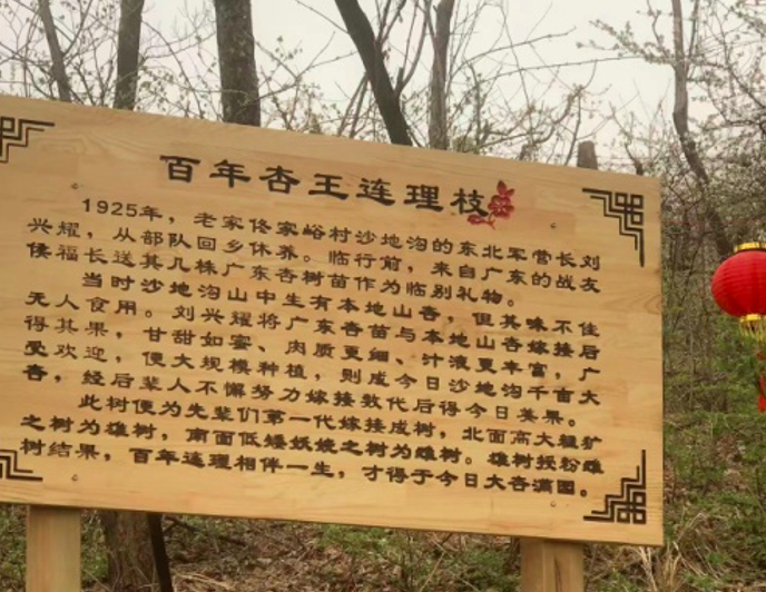 浑南区地名文化品牌赋能乡村振兴