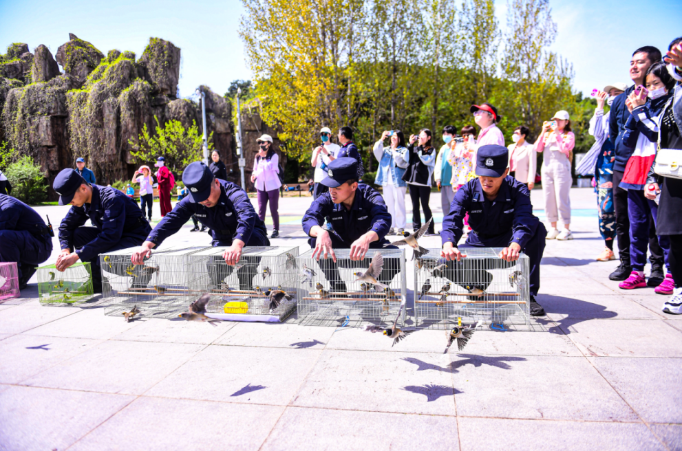 沈阳市第四十二届“爱鸟周”宣传活动在我区启动