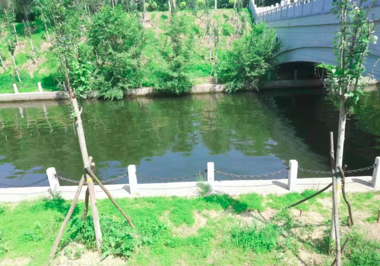 区水务事务服务中心：推进农村河湖水渠清理工作 清淤疏竣保畅通