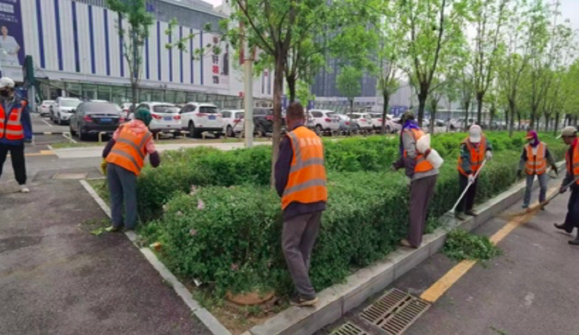 区精管办：美化赛场周边环境 当好“东道主”展现新形象