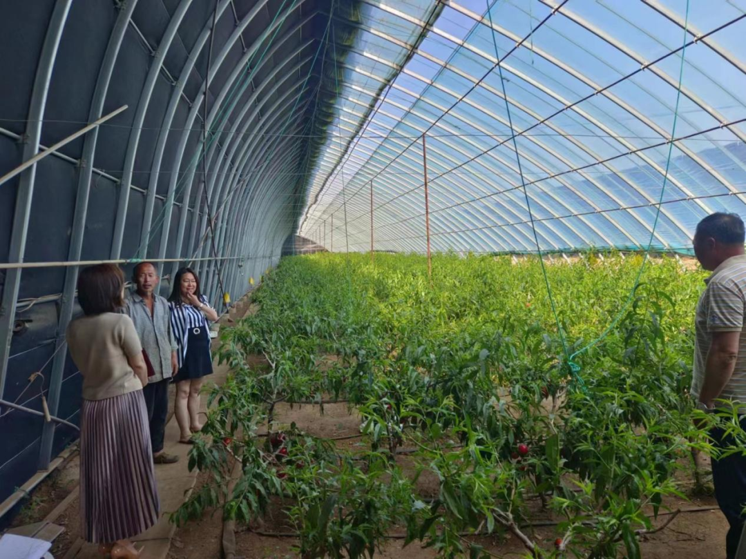 王滨街道：党建联建促振兴 描绘兴农“共富图”