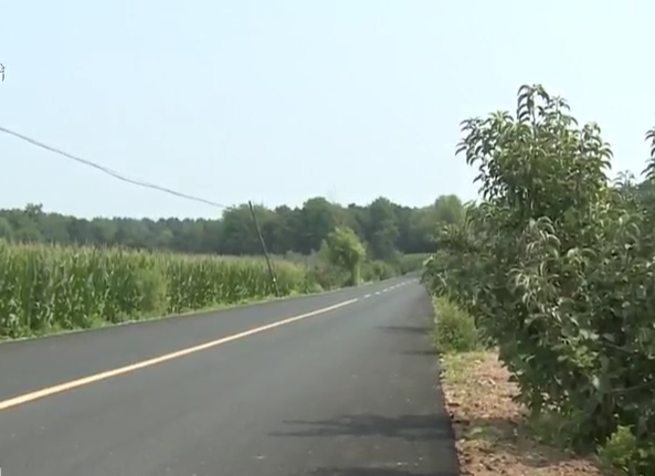 区交通运输局:夯实公路建设 办好民生实事