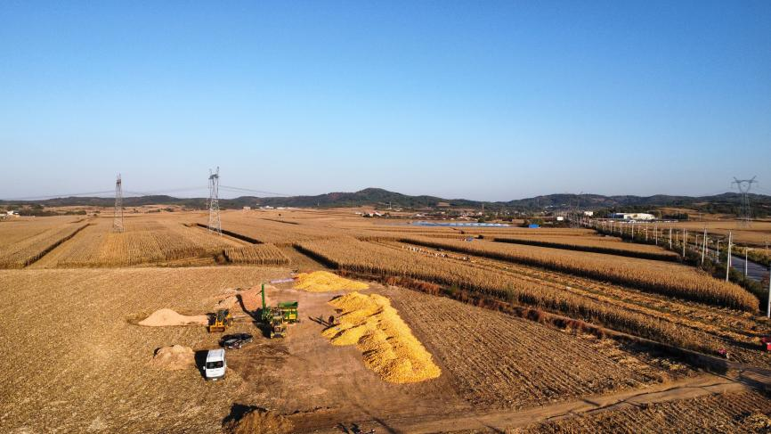 祝家街道：全力打造现代化大农业发展先行地和高品质文体旅融合发展示范地