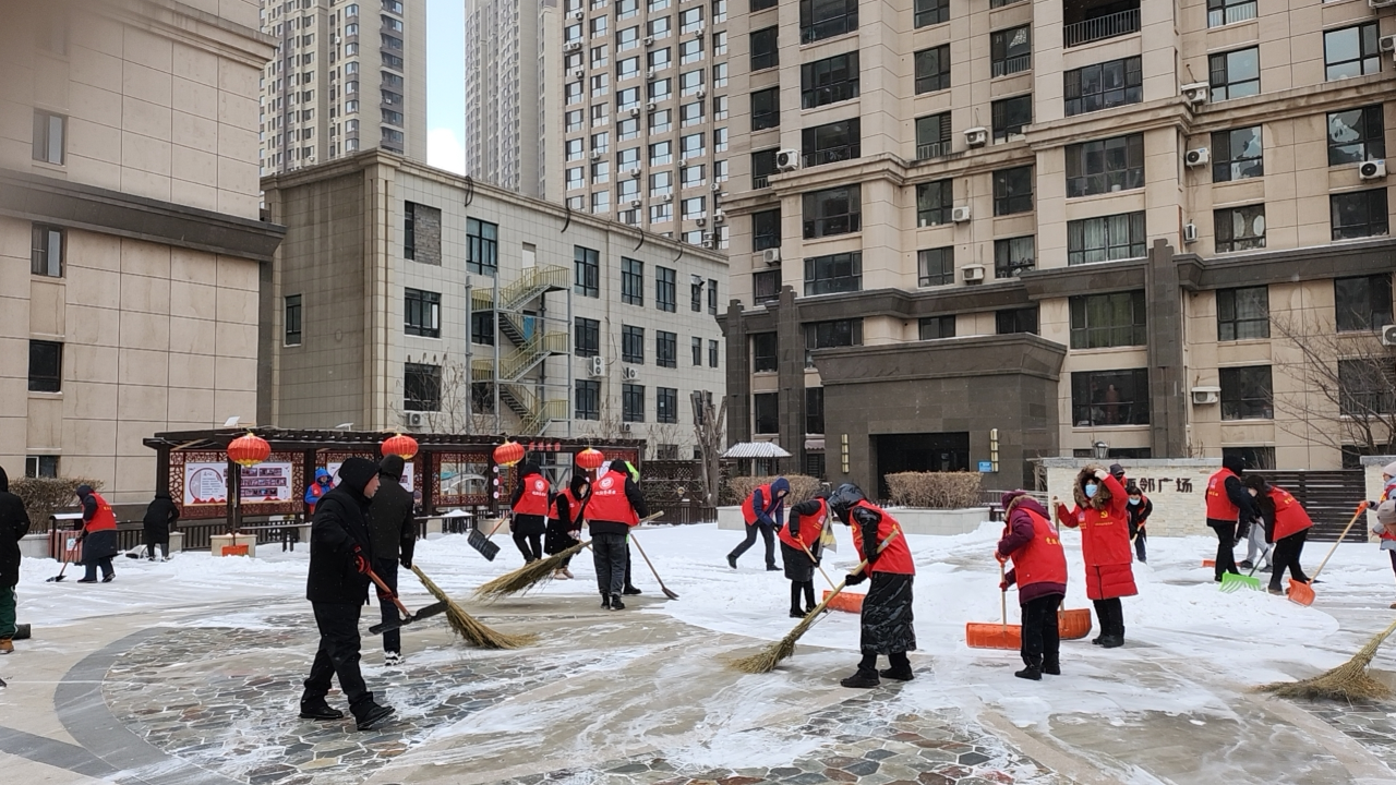 区委宣传部开展党组织共建“清洁沈阳”志愿服务活动