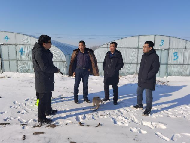 区农业农村局全力做好农业领域低温雨雪冰冻灾害防范应对工作