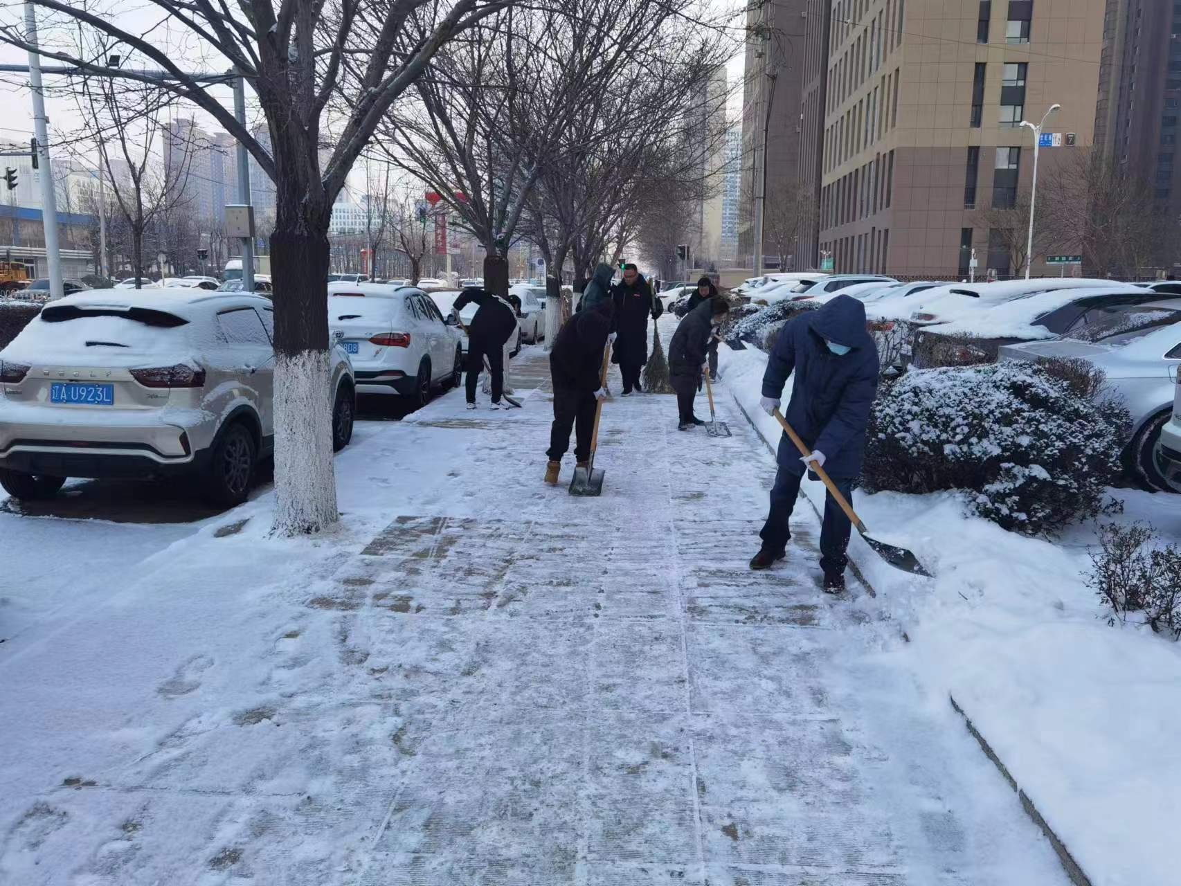 区民政局:极寒守护服务群众 多措并举保障民生