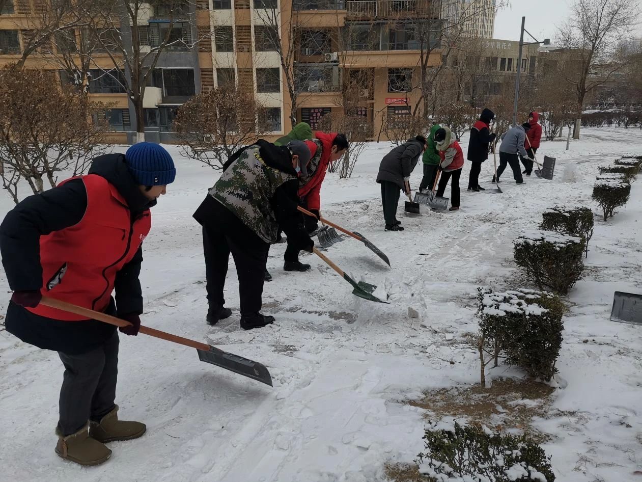 闻雪而动，迎雪而行！我区党员干部积极开展扫雪除冰行动