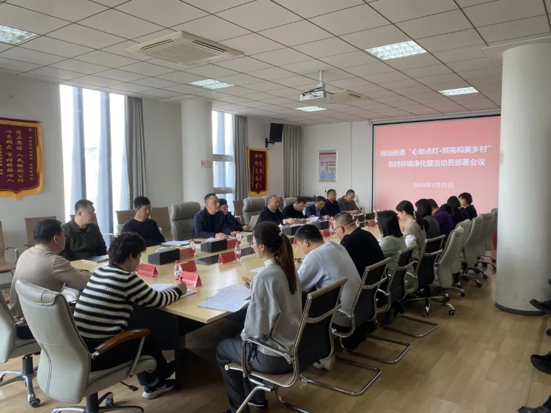 桃仙街道开展“心新点灯·照亮和美乡村”农村环境净化整治行动