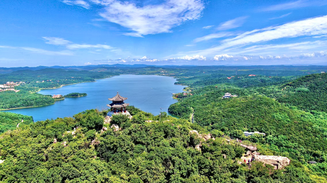 五年行动——筑牢生态安全屏障浑南绘就生态保护五年行动新画卷(图1)